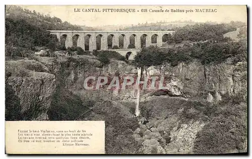 Cartes postales La Cantal Pittoresque Cascade de Salins pres Mauriac