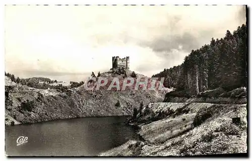 Cartes postales Saint Flour Le Chateau Feodal d Alleuze