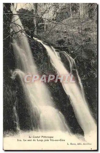 Cartes postales Cantal Vic sur Cere Le saut du loup