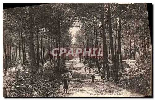 Cartes postales Cote d argent Route en Foret