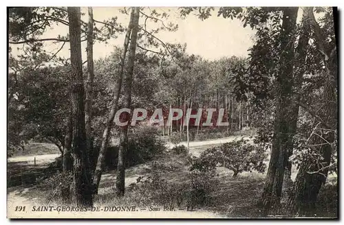 Cartes postales Saint Georges de Didonne Sous Bois