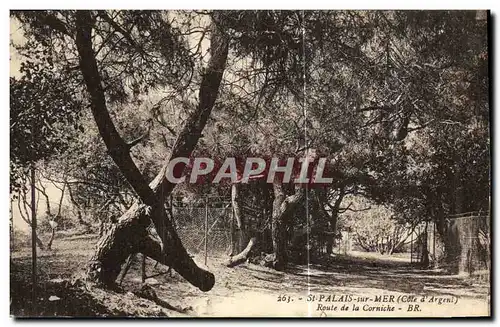 Cartes postales Saint Palais sur Mer Route de la Corniche