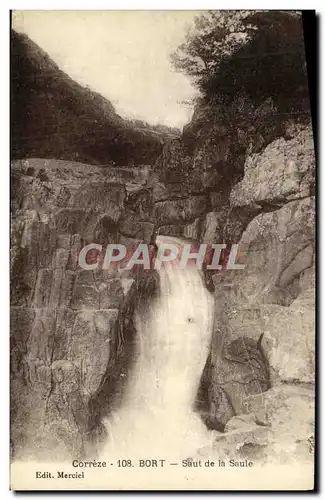 Cartes postales Bort les Saut de la Saule