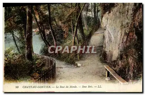 Cartes postales Chateau Gontier Le Bout du Monde Sous Bois