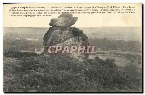 Cartes postales Campeneac Domaine de Trecesson Curieux rocher dit Chateau de pied d Amon