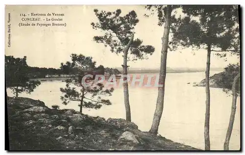 Cartes postales Environs de Vannes Conleau Le Goulet Etude de paysans bretons