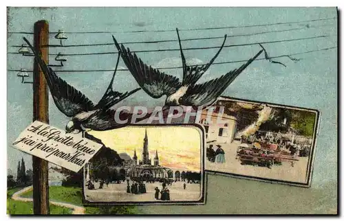 Cartes postales Lourdes Hirondelles