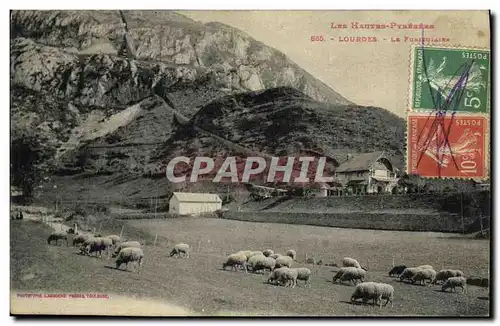 Cartes postales Lourdes Le funiculaire Moutons