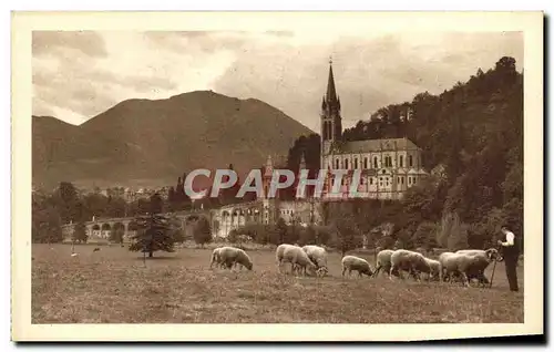 Ansichtskarte AK Lourdes La Basilique Vue de la prairie de la Grotte