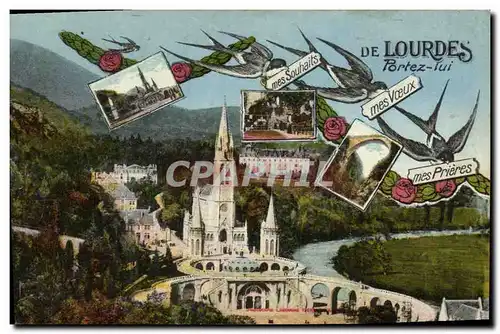 Cartes postales De Lourdes Portez Lui Hirondelles