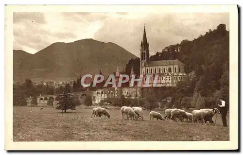 Ansichtskarte AK Lourdes La Basilique Vue de la Prairie de la Grotte