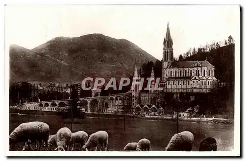 Cartes postales Lourdes La Basilique et le Pic du Jer