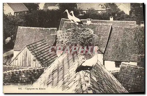 Cartes postales Nid de Cilgognes en Alsace