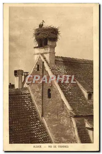 Cartes postales Nid de Cilgognes en Alsace