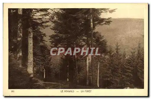 Cartes postales La Hohwald La Foret