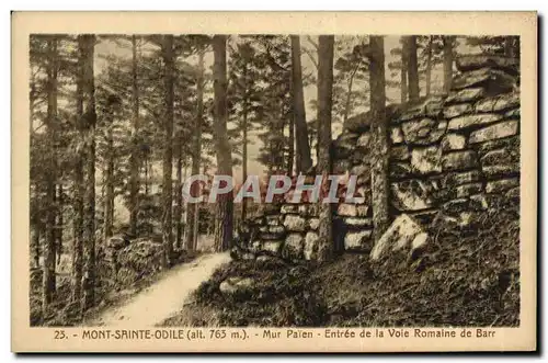 Cartes postales Mont Sainte Odile Mur Paien Entree de la Voie Romaine de Barr