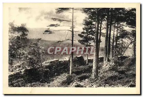 Cartes postales Mont Sainte Odile Le Mur Paien