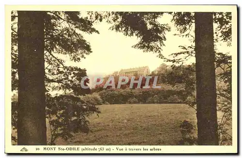 Cartes postales Mont Sainte Odile Vue a travers les Arbres