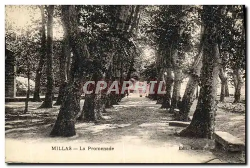 Cartes postales Millas La Promenade
