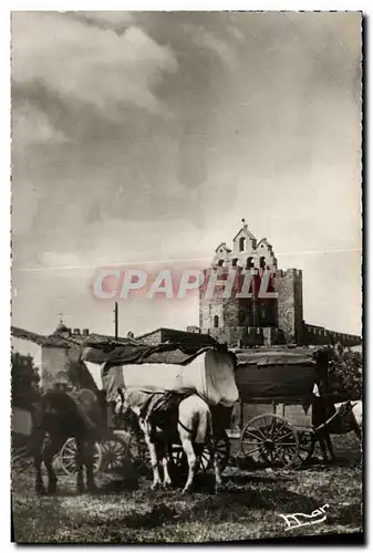 Cartes postales moderne Saintes Maries De La Mer Campement des Gitans