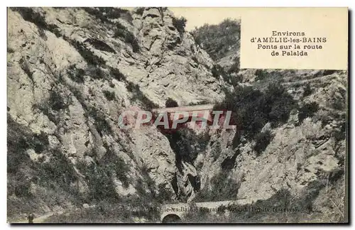 Cartes postales Environs d Amelie Les Bains Ponts sur la Route de Palalda