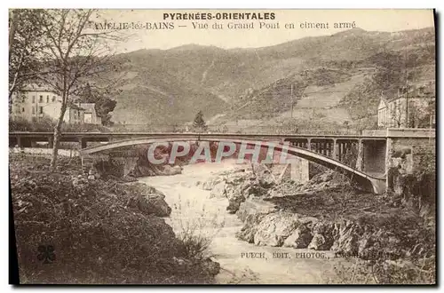 Ansichtskarte AK Amelie Les Bains Vue du Grand Pont en ciment Arme