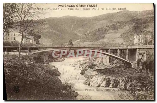 Cartes postales Amelie Les Bains Vue du Grand Pont en ciment Arme