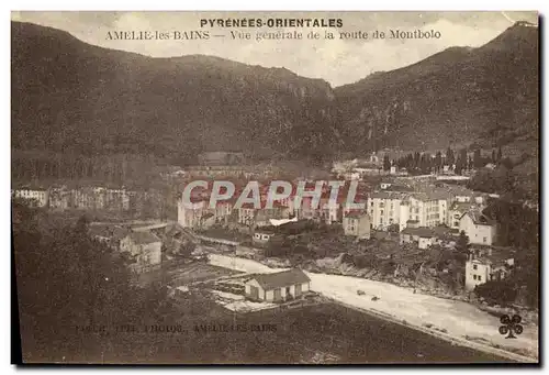 Cartes postales Amelie Les Bains Vue generale de la Route de Montbolo