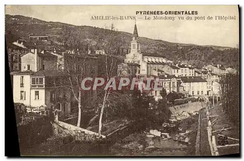 Cartes postales Amelie Les Bains Le Mondony Vu Pont de L Hopital