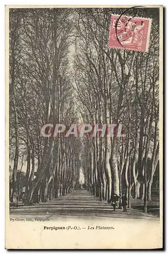 Cartes postales Perpignan Les Platanes