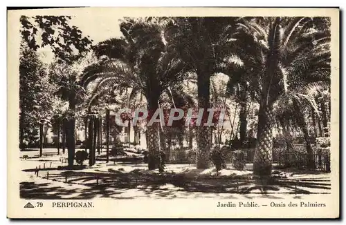 Ansichtskarte AK Perpignan Jardin Public Oasis des Palmiers