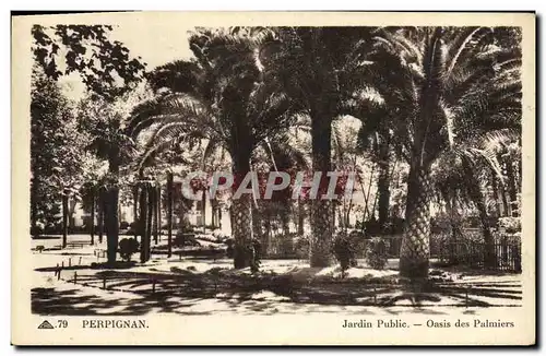 Cartes postales Perpignan Jardin Public Oasis des Palmiers