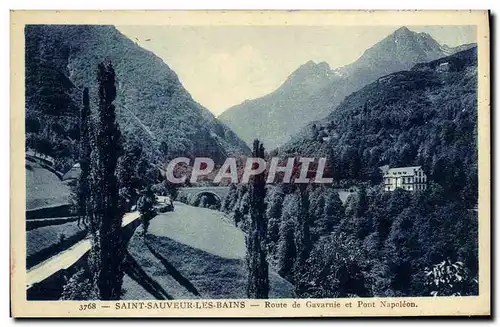 Cartes postales St Sauveur Les Bains Rotte de Gavarnie et Pont Le Pont Napoleon