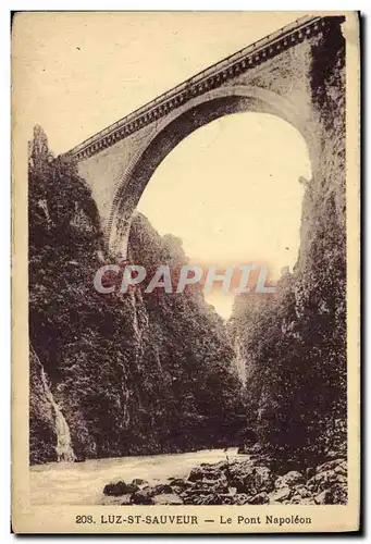 Cartes postales Luz Saint Sauveur Le Pont Napoleon