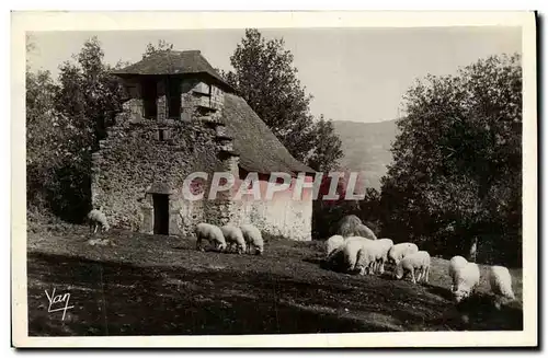 Cartes postales Argeles Chapelle Notre Dame de Castere Moutons