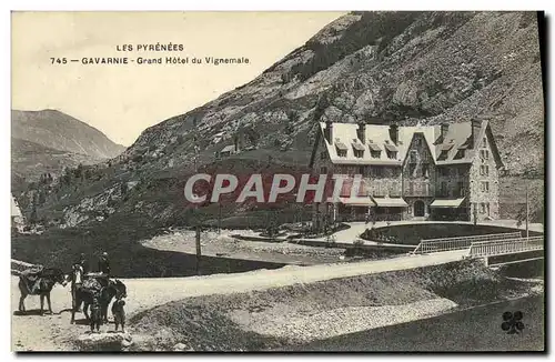 Cartes postales Gavarnie Grand Hotel du Vignemale Anes Enfants