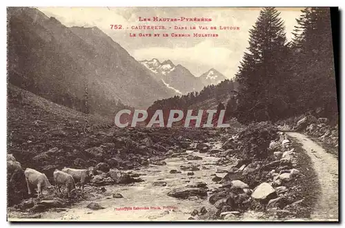 Cartes postales Cauterets Dans Le Val De Lutour Le Gave Et le chemin muletier