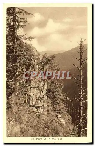 Cartes postales Les Trois Epis La Route De La Schlucht