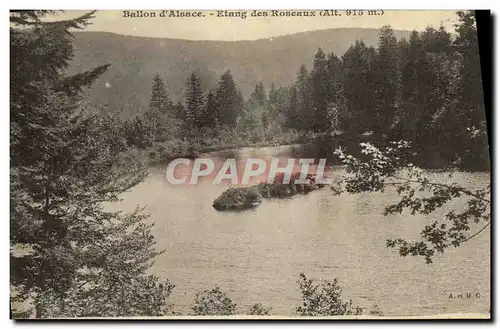 Ansichtskarte AK Ballon d Alsace Etang des roseaux