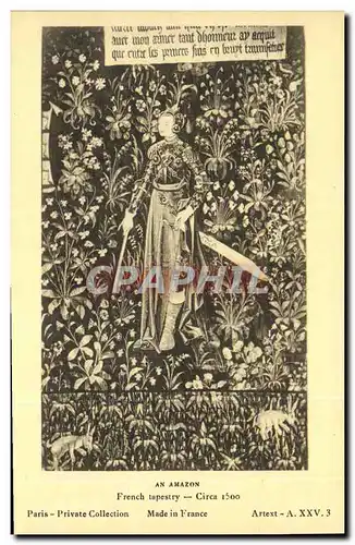 Cartes postales An Amazon French tapestry Circa Paris Priavte Collection