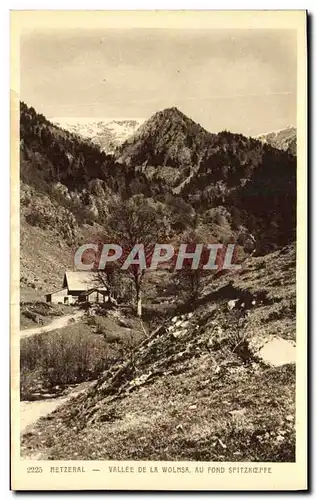 Cartes postales Metzeral Vallee De La Wolmsa Au Fond Spitzkoeppe