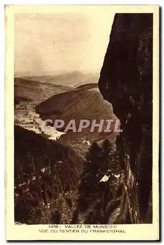 Ansichtskarte AK Valle de Munster Vue du Sentier du Frankenthal