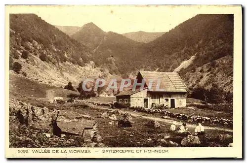 Ansichtskarte AK Vallee de la Wormsa Spizkoepfe et Hohneck