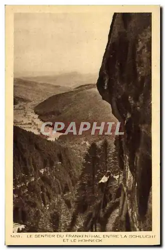 Ansichtskarte AK Sentier du Frankenthal entre la Schlucht et le Hohneck