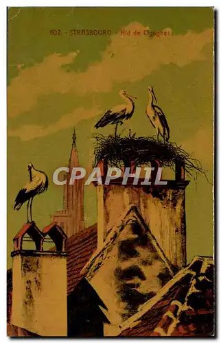 Cartes postales Strasbourg Nid de cigognes