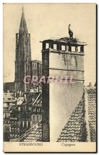 Cartes postales Strasbourg Cigognes