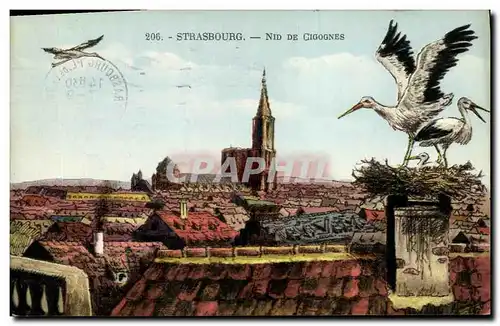 Cartes postales Strasbourg Nid De Cigognes