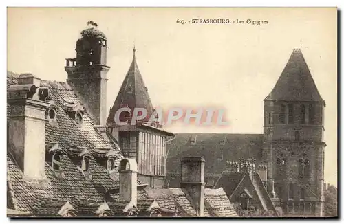 Cartes postales Strasbourg Les Cigognes