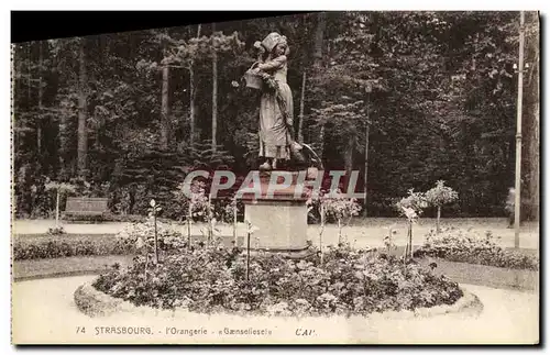 Cartes postales Strasbourg L Orangerle Gaeneseliesel Alsace