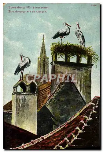 Cartes postales Strasbourg Nid de cigognes